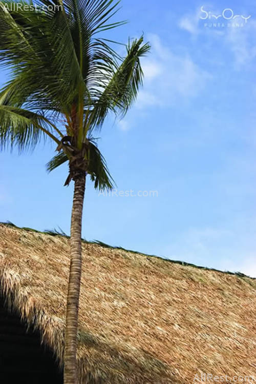 Sivory Punta Cana 25
